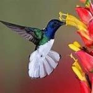 Meet your Posher, Shawna